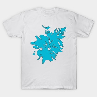 Mount Baker Glaciers T-Shirt